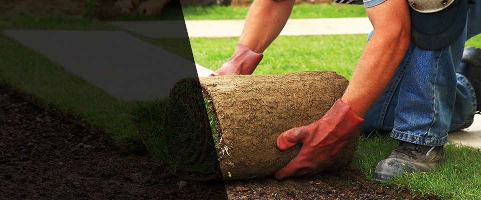 Liberty Hill Landscapers